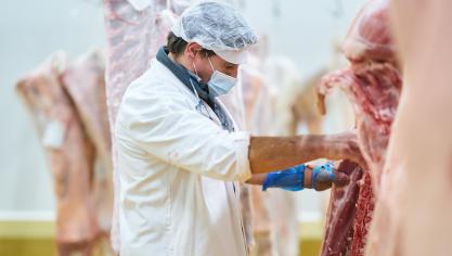 Belgian Meat Office/VLAM, zal opnieuw initiatieven ontwikkelen om de export van varkensvlees naar enkele Zuidoost-Aziatische landen te bevorderen.