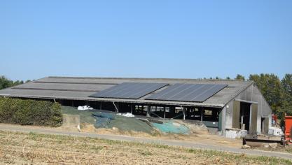 De landbouwer kan in een energiegemeenschap de rol van energieproducent op zich nemen.