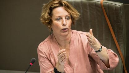 Het verontrust Mieke Schauvliege (Groen) dat er voor de afstemming tussen het GLB, de PAS en het mestactieplan opnieuw geen stappen zijn gezet.