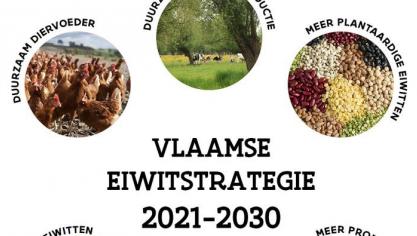 De realisatie van het eiwitactieprogramma, dat kadert in de Vlaamse eiwitstrategie 2021-2030, draait intussen op volle toeren.