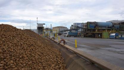 Sinds de start van de campagne eind september werd al 2,5 miljoen ton bieten opgehaald in de fabrieken van Tienen, Wanze en Longchamps.