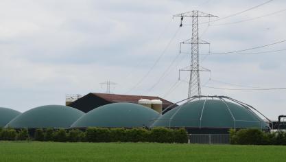 De steun voor biomassa, biogas en fossiele warmtekrachtkoppeling zal voortaan jaarlijks worden aangepast.