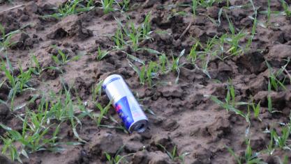 Vlaanderen mikt op de invoering van statiegeld op drankverpakkingen in 2025.