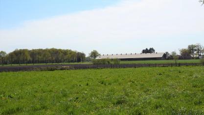 Voor duurzame varkens- en pluimveestallen geldt dat het aantal gehouden dieren niet mag toenemen.