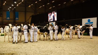 Op de openingsdag van de beurs staat melkvee in de kijker.