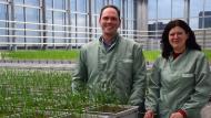 Steven Vandenabeele en Isabel Vercauteren zijn de roergangers bij Aphea.Bio,  een jonge agrobiotech startup uit het Gentse.