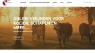 Voor de rundveeveiling werkt Agro-Expo samen met de veilingsite Farmersbid.com.