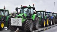 Boeren uit heel Vlaanderen zullen vanavond actie voeren op weides langs en bruggen over verschillende snelwegen.