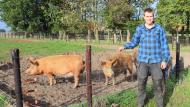 Niels Van Hoenacker startte De Veldhoeve met Tamworth-varkens.