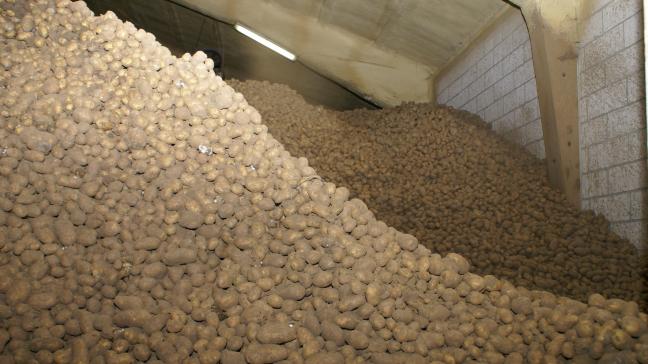 De aardappelvoorraad is relatief klein dit jaar.