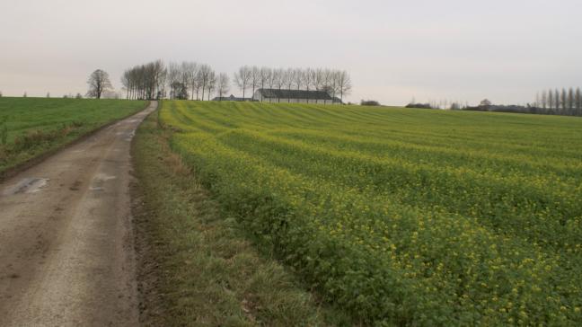 De pachtprijzencommissie bereikte op 9 december een akkoord over de nieuwe pachtprijscoëfficiënten voor gronden en gebouwen. Deze coëfficiënten zijn geldig voor de periode 2020 tot en met 2022.