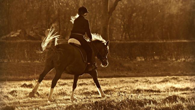 Volgens de huidige regels is paardrijden enkel toegestaan op de eigen weide of piste.