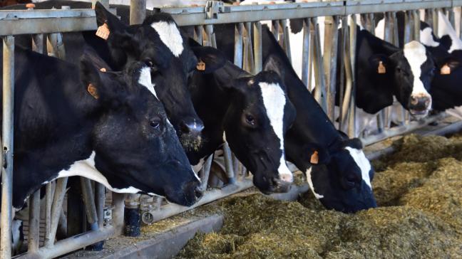 Niet minder dan 89,4% van de deelnemende melkveebedrijven haalde de A-opvolgingsstatus, wat staat voor een laag risico op de aanwezigheid van ziektekiemen in de melk.