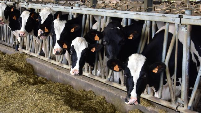 MCC telde 4.107 melkveehouders, die samen in 2019 ruim 2,6
% meer produceerden dan in 2018.