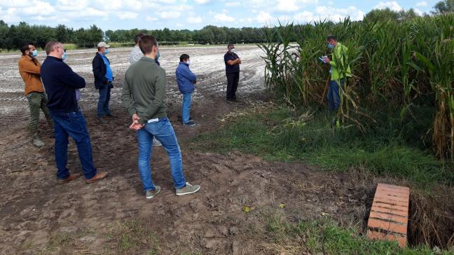 Een vijftal Beernemse landbouwers werken mee aan een pilootproject om op gemeentelijke gronden koolstof in de bodem op te slaan.