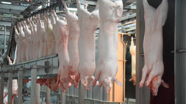De AVP-vrije status is zeer belangrijk voor de Belgische export van varkensvlees.