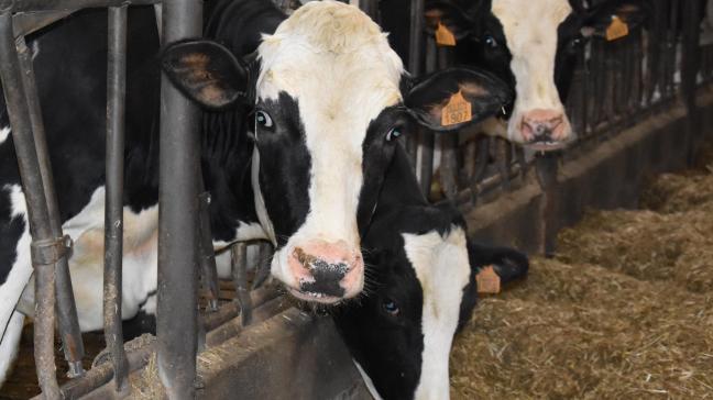 Voor de 6de achtereenvolgende maand is de gemiddelde EU-melkprijs gestegen.