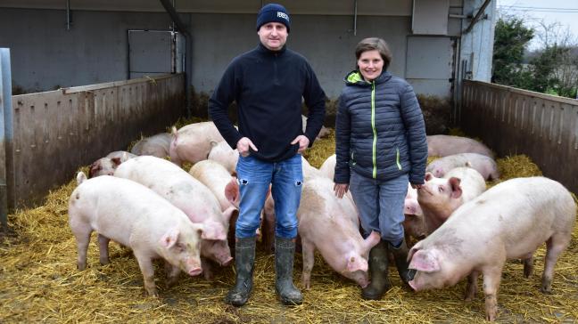 Bert en Wivine kweken 500 biologische varkens voor BioVar.