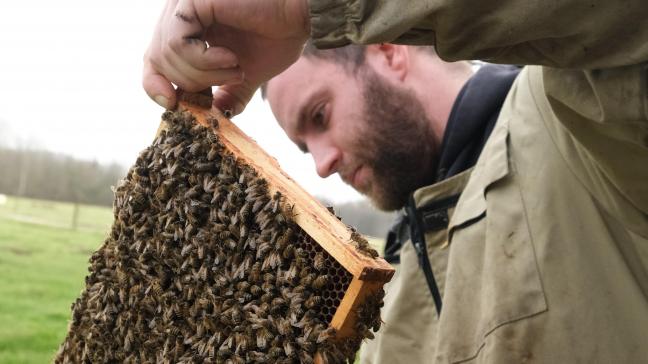 Deze tijd van het jaar houdt Jef zich vooral bezig met de voorjaarscontrole. Foto: SN