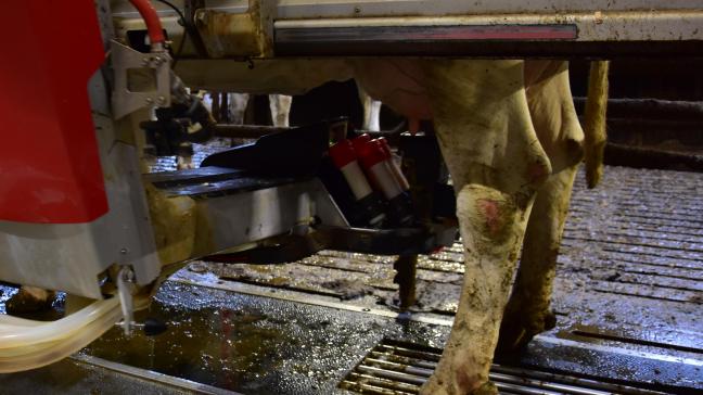 Het gaat voor april nu om een reëel uitbetaalde melkprijs van gemiddeld 34,56 euro per 100 liter.