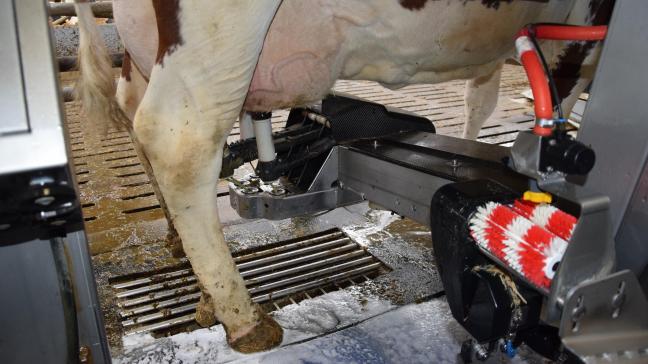 Kies doordacht voor een melkrobot.