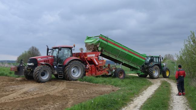 De Belgapomnotering voor Bintje bedraagt op 14 mei 70 euro/ton btw excl.