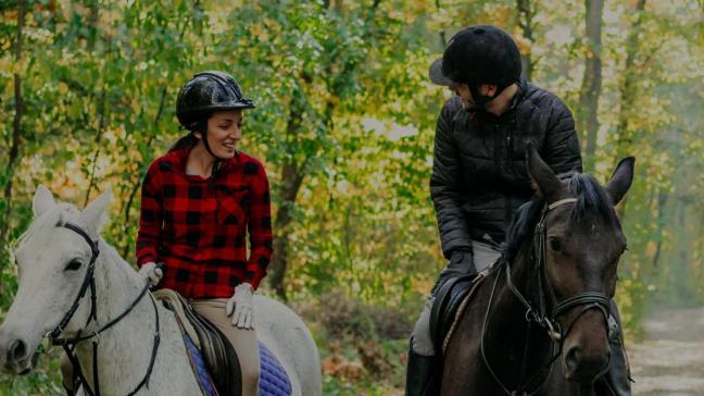 Horsify is een nieuw platform dat ruiters en paardeneigenaars samenbrengt
