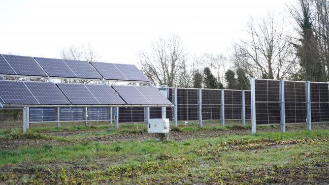 Herman Verberckmoes liet zonnepanelen op zijn bietenveld plaatsen.