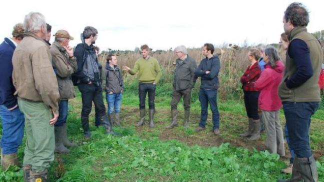 Terreinbezoek met landbouwers in Nederland, samen evalueren en discussiëren op het veld.