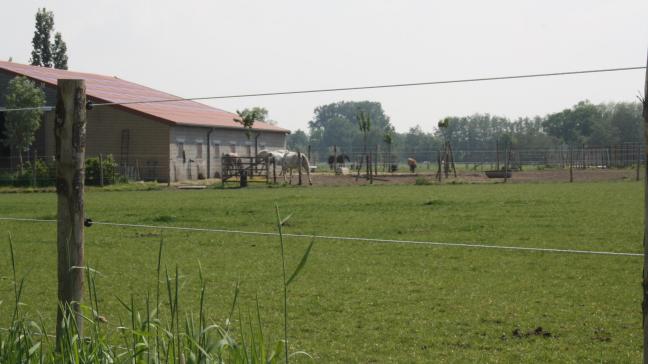 Vanaf nu dient elke locatie waar paardachtigen worden gehouden en de paarden die er verblijven geregistreerd te worden.