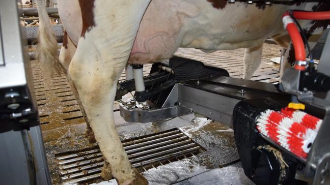 Waarschijnlijk gemotiveerd door de aantrekkende melkprijzen melkte men in februari in de 27 EU-landen 0,5% meer.