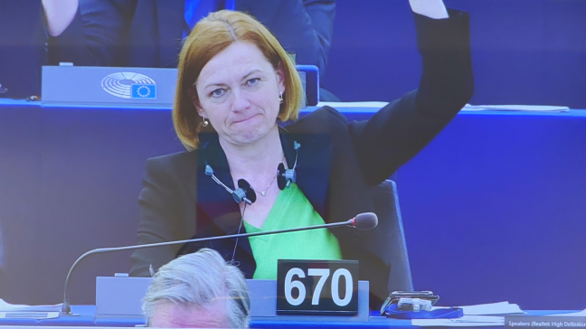 Oostenrijkse parlementariër Simone Schmiedtbauer was rapporteur van het plan en reageert tevreden op de stemming.