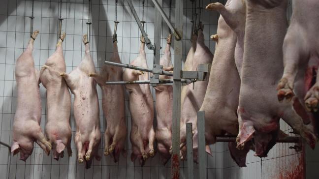 Hoewel ons land de AVP-vrije status heeft, zeggen China, Taiwan, Australië en Wit-Rusland nog steeds ‘njet’ tegen onze varkens.