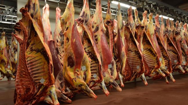 Vandaag consumeert nog steeds meer dan 95% van de Belgen wekelijks vlees.