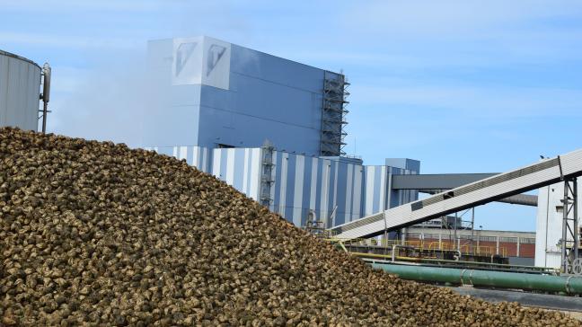 De eerste suikerbieten van de campagne 2022 zijn ondertussen verwerkt.