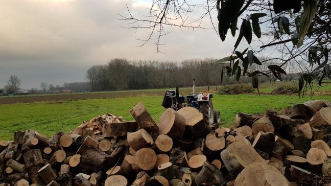 Wie over voldoende ruimte beschikt, is beter af met ongedroogd hout, maar moet het dan wel zelf laten drogen in de openlucht. De beste manier is om het hout niet te compact te stapelen, zodat de wind er vrij doorheen kan.
