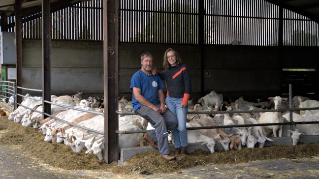 De omkeer naar geiten kwam er nadat Dirk en Karlien beslisten om van de boerderij hun hoofdinkomen te maken, en zo het bedrijf ook leefbaar te maken voor de volgende generatie.