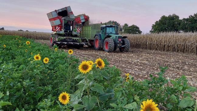 Graag een buffer om onze lokale landbouw én voedselproductie te beschermen.