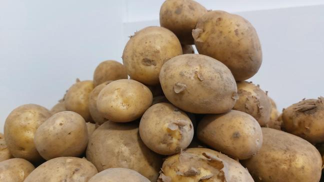 Belgapom meldt deze week stabiele aardappelprijzen.