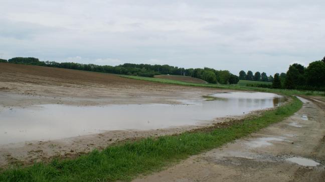 In Europa is zo’n 110 miljoen hectare landbouwgrond vatbaar is voor erosie.