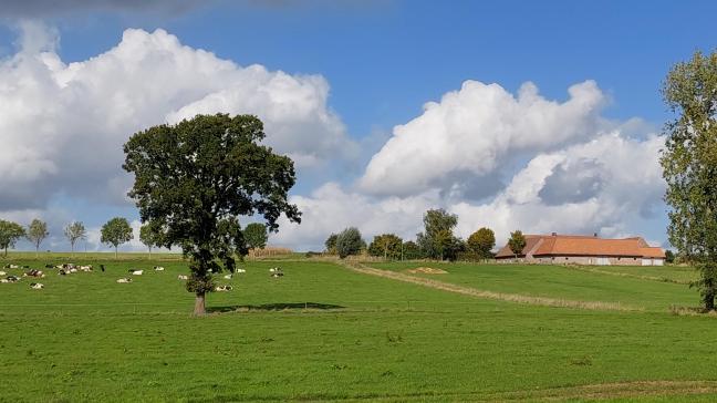 De pachtprijscoëfficiënten voor de periode 2022-2025 tonen een aanzienlijke stijging. Vermoedelijk spelen de stijgende grondprijzen en de hoge inflatiecijfers van de afgelopen maanden een rol.