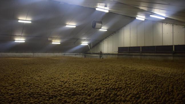 De eerste signalen zijn dat de frietindustrie in Nederland met forse verhogingen van de contractprijzen komt.