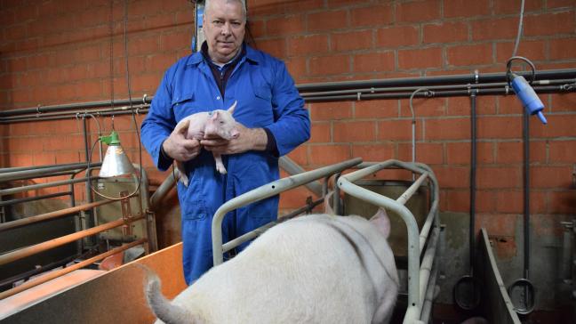 Stefaan De Baerdemaeker is tevreden over zijn geneticakeuze: “Ik vind het belangrijk dat ik met weinig kosten veel biggen kan spenen, bovendien is de afnemer ook tevreden.”