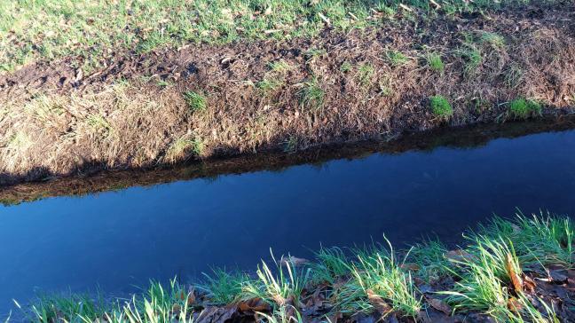 De toestand van het grondwater in Vlaanderen blijft overwegend droog voor de tijd van het jaar, ondanks de neerslag in de tweede helft van december.