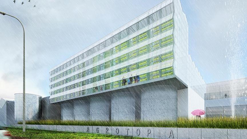 stadstuinbouw