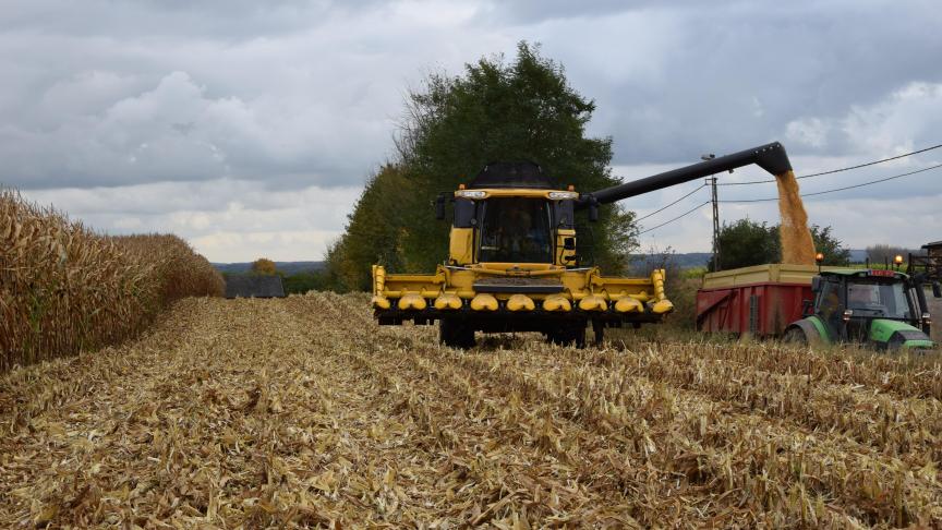 Positief nieuws bij de teelt van korrelmaïs vorig jaar waren de doorgaans goede oogstomstandigheden en lage vochtgehaltes.
