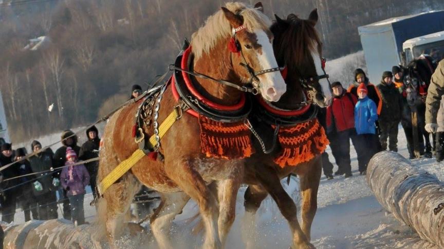 Ségolene de la Hutte tijdens de finale van de trekwedstrijd in Slovakije.