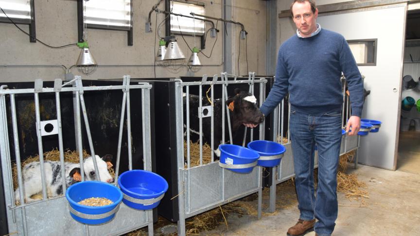 Olivier Van Look bij kalfjes van minder dan een maand oud.