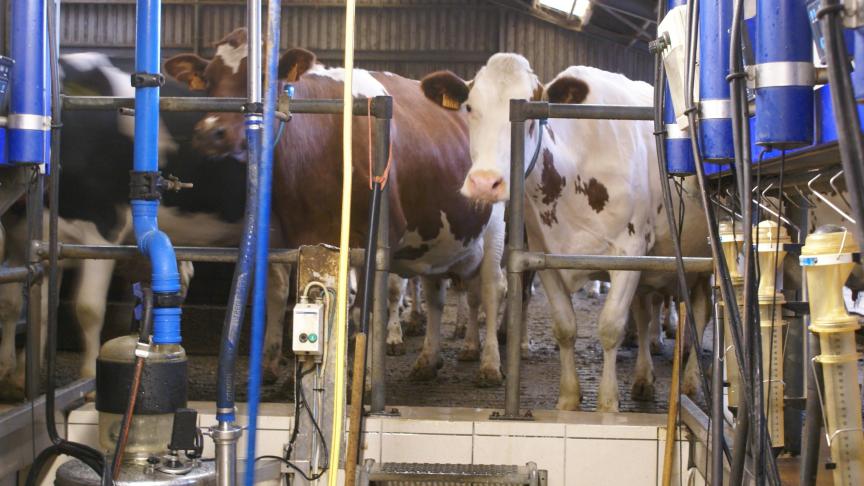 Sedert afgelopen oktober is Milcobel weer onder het gemiddelde terecht gekomen.