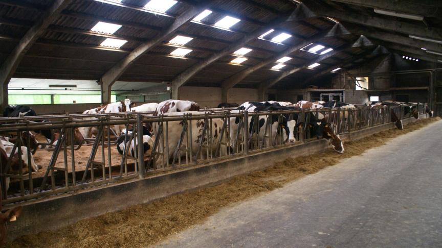 Milcobel wijt de daling aan het feit dat de daling van de zuivelprijzen na nieuwjaar - en vooral van melkpoeder en room - leidt tot een iets mindere valorisatie van de melk.